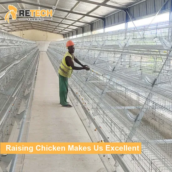 High Quality A Type Poultry Farm Layer Chicken Cage in Indonesia with Egg Laying