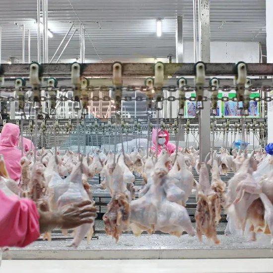 Halal Muslim Slaughter Chicken Slaughtering Equipment Slaughtering Equipment