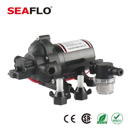 Seaflo Water Pump 24V DC Motor for Agriculture