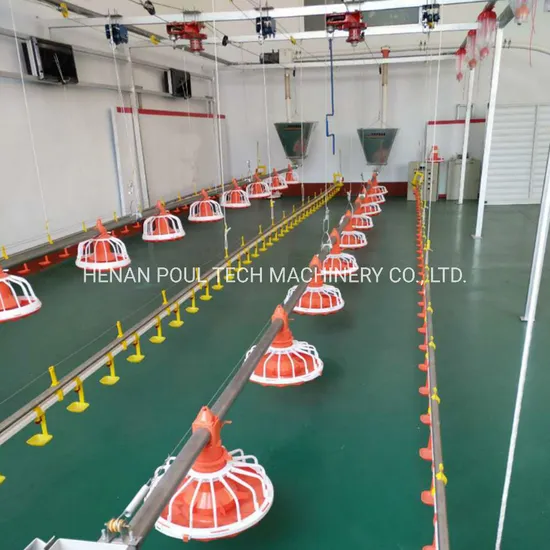 Battery Farm Chicken Feeding and Drinking System