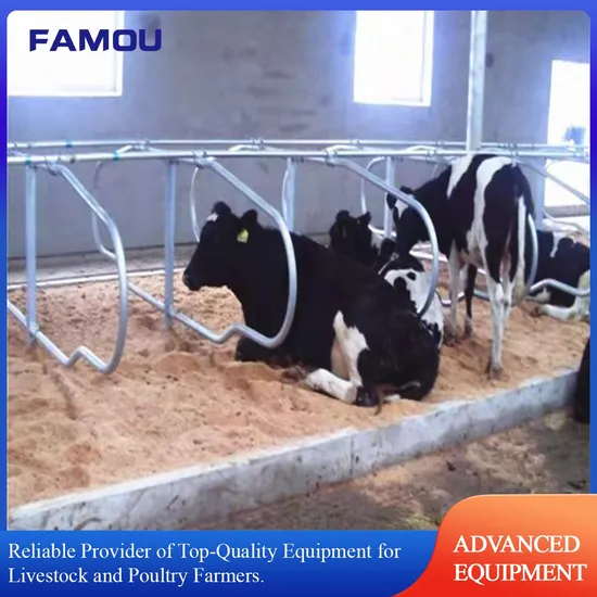 Durable Customized Galvanized Steel Cattle Free Stall for Dairy Cow Barn