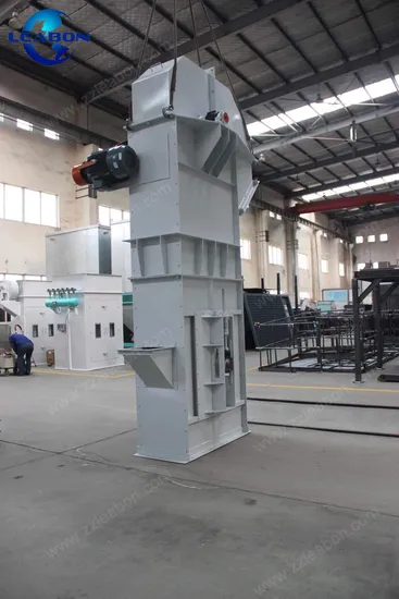 Large Capacity Bucket Chain Elevator for Grain Beans Seeds 5t/H Bucket Elevator