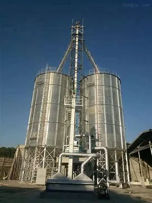 Great Power Used for Silos Grain Lifting 50t/H Bucket Elevator