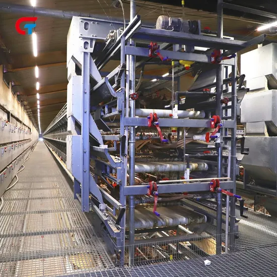 Factory Price Automatic Good Quality Chicken Cage Poultry Feeding Equipment