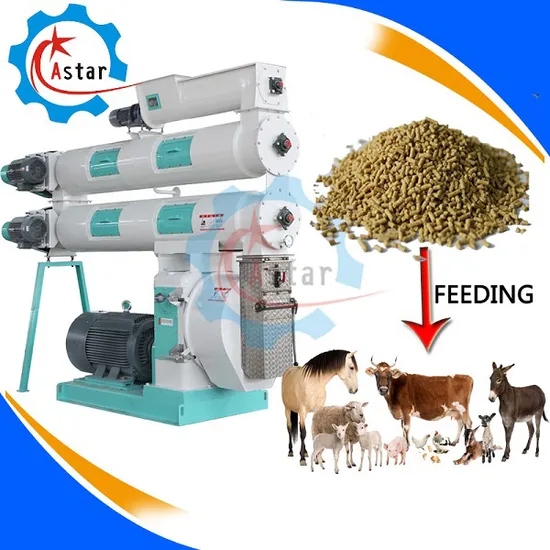 High Output Feed Mill in Bangladesh