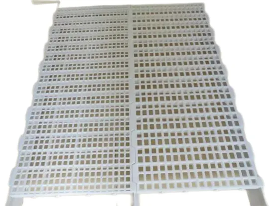 High Quality Plastic Floor for Chickens / Suitable for All Kinds of Chickens