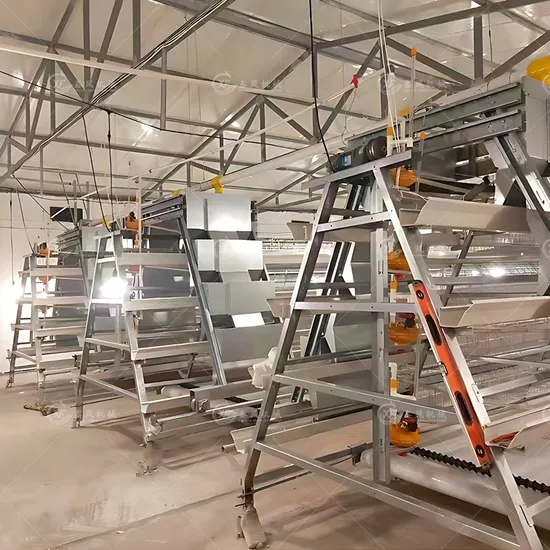 Farming Equipment Egg Laying Poultry Cage Chicken Cages Battery Poultry Layer Chicken Cages