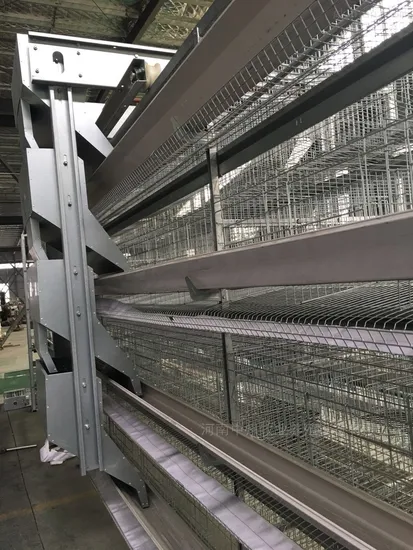 China Poultry Farm Chicken Coop Factory a Frame Automatic Broiler Cages Wholesale Hot-DIP Galvanized Steel Material Hen Broiler Layer Chicken Cage