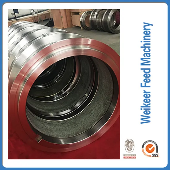 Durable Stainless Steel Alloy Ring Die for Pellet Mill Spare Part