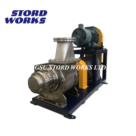 Hot Selling Vane Pump Continuous Pumping by Positive Displacement of Large Capacity of by-Products