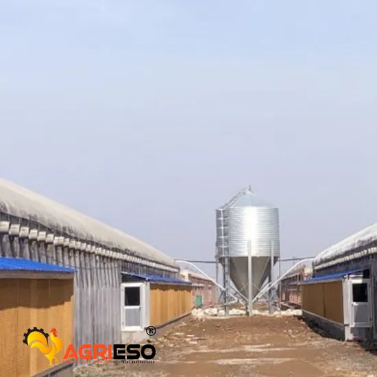 Agrieso Galvanized 275G/M2 4 Ton Poultry Farm Equipment Chicken Feed Storage Silo