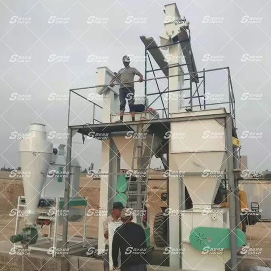 Pellet Machine of Animal Feed/Animal Feed Processing Machine Price