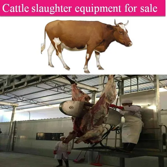 Manufacturer of Cattle Slaughtering Equipment with a Daily Slaughter Capacity of 30-300 Heads