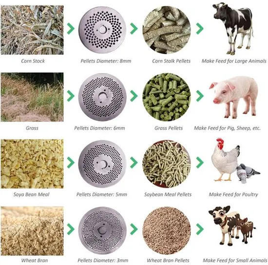 Family Use Electric Mill Making 7.5kw Mini 2mm Model 160 Low Cost Poultry and Livestock Feed Pellet Machine