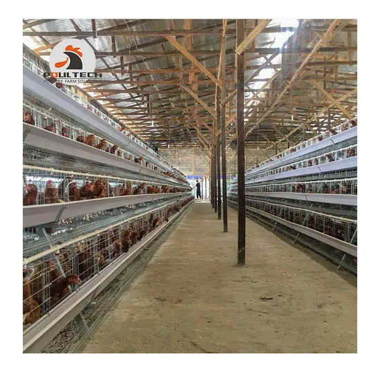 Precision-Engineered Type a Hot Galvanized Chicken Cage