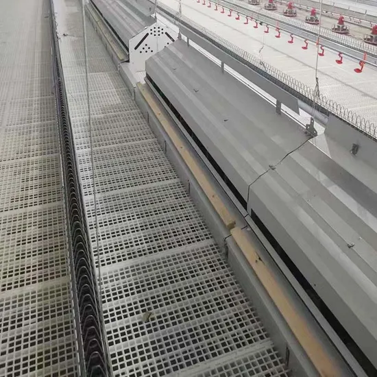 Auto Breeder Feeding Equipment