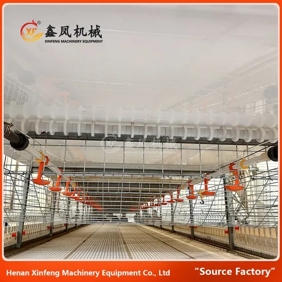 Poultry Machines Broiler Chicken Farming H Type Automatic Battery Cage and Automatic Bird Harvesting Equipment with Automated Feeding