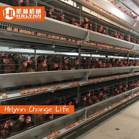 Automatic Galvanized Farm Equipment Poultry Bird Egg Hen Layers Battery Cage