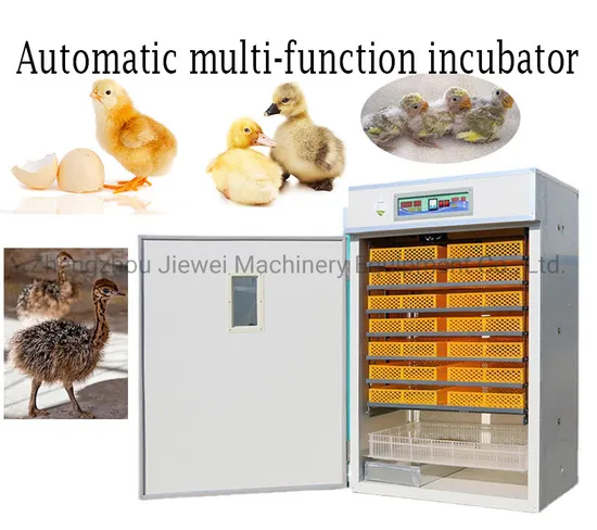 CE Approved Automatic Chicken Egg Incubator Solar Egg Incubator Egg Incubator Machine