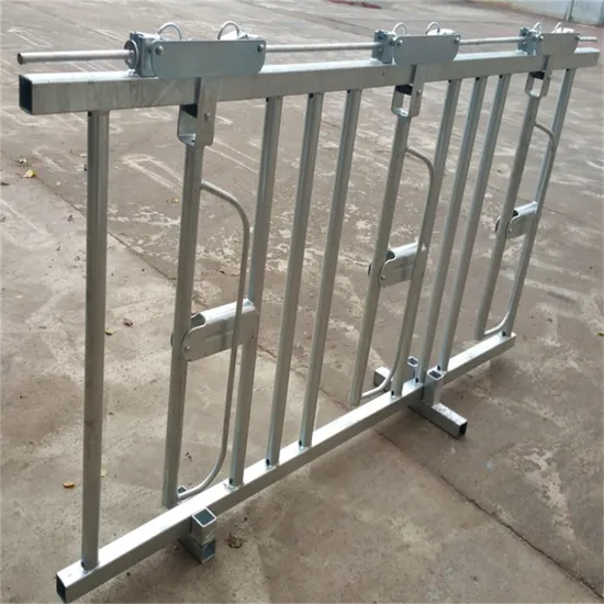 Farm Equipment Cow Cattle Head Lock Metal Fence for Sale