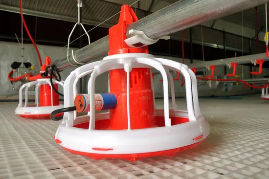 Chicken House Feeding Line Automatic Feeding Line Poultry House Equipment