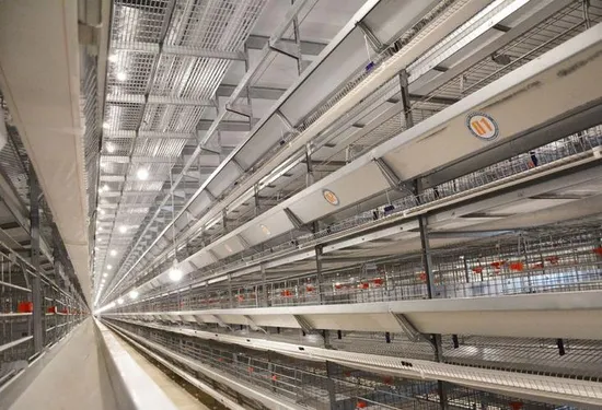 Type H Laying Hens Breeding Chicken Automatic Equipment (KXD-LC301)