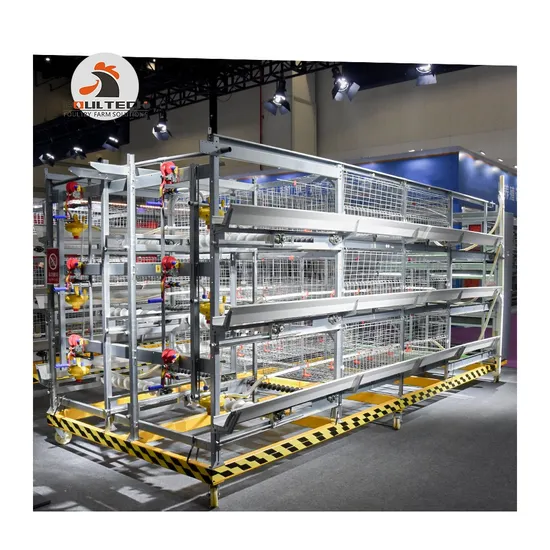 Optimized H Type Broiler Cage Fully Automatic