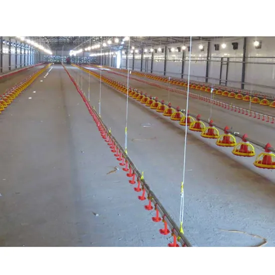 Automatic Open Trough Chain Feeding Line System for Broiler Breeder Chicken House Shed