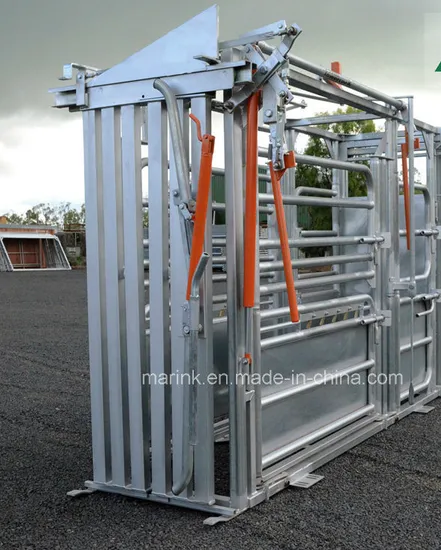 HDP or Powder Coated Cattle Squeeze Crush to Sale