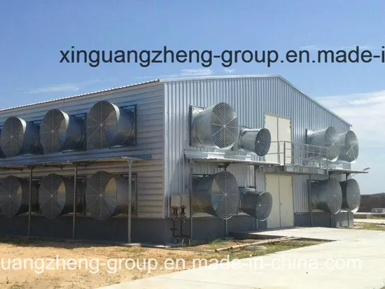 The Equipments for The Layer and Chicken House for Algeria