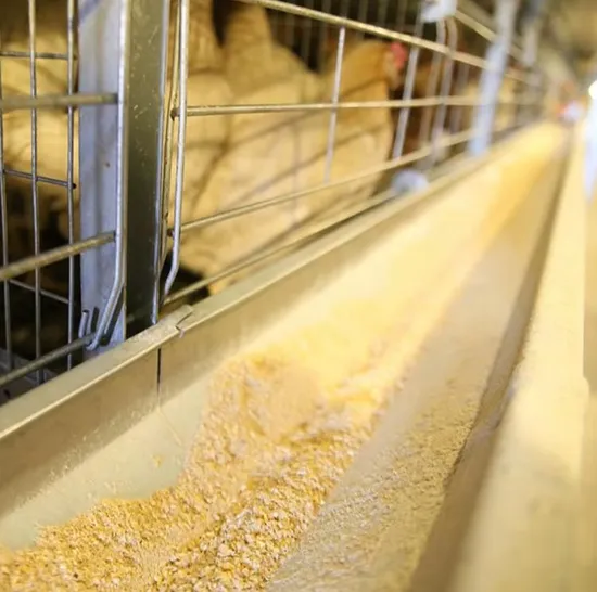 Low Cost Farm Chick Hatching Equipment Machine Brooder Hatching Machine