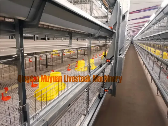 Poultry Farm Meat Broiler Raising Equipment Galvanized Broiler Battery Cage