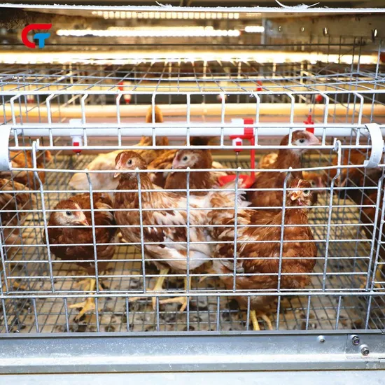 Multilayers Chicken Farming Automatic New Making Poultry Cages Manufacturers
