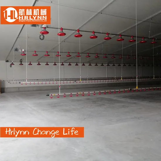 Automatic Chicken House Broiler Shed Poultry Farming/Farm Machine/Equipment