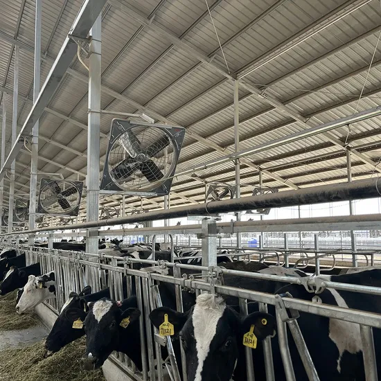 Agricultural Equipment High Volume Large Air Flow Ventilation Fan Exhaust Fan