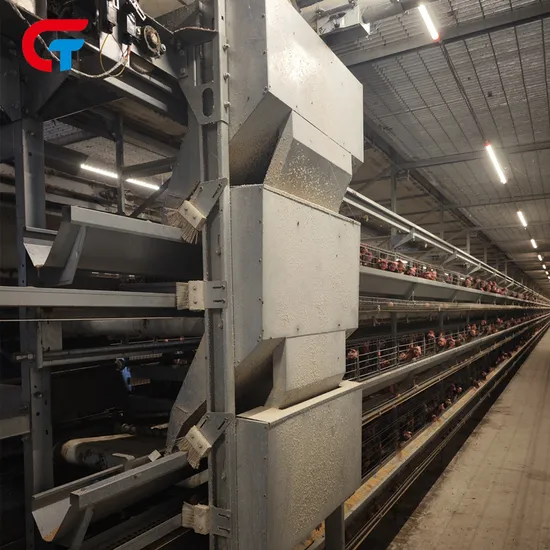 Hot Sell High Automatic Battery H Type Layer Chicken Cage for Layer Hens, Brooder and Broiler