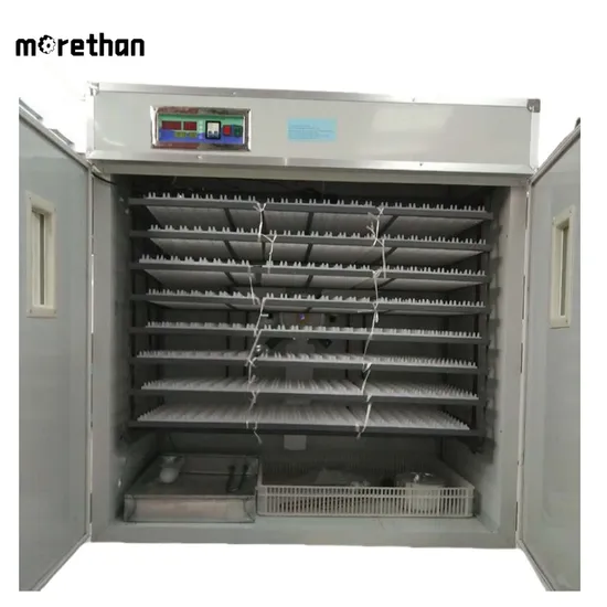 Livestock-Machinery Direct Delivery to Africa Sales Solar Energy Poultry Industrial Egg Incubator