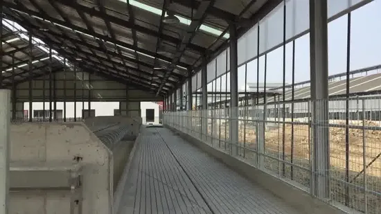Dairy Farm Cubicle Barn Side Walls Wind-Proof Electrical Rolling Curtain Tarp