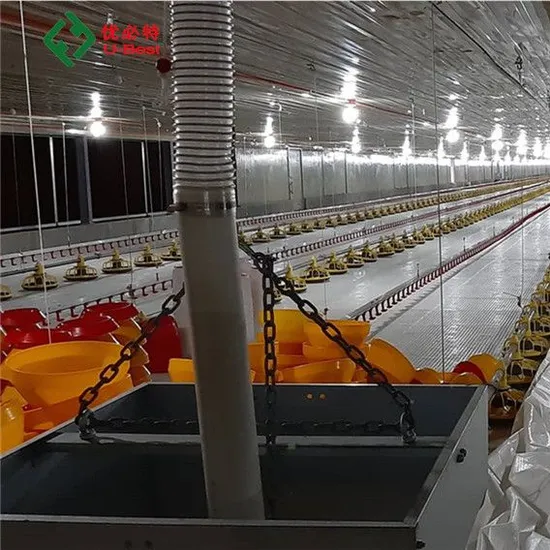 Quality Assured Complete Controlled Poultry Shed Farm Building Prefabricated Housing