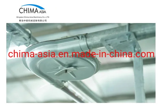 Automatic Pig Feeder Animal Feeding System Equipment Corner for Pig