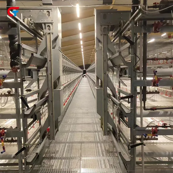 New Design H Type Automatic Farming Poultry Chicken Breeding Equipment for Brooder / Laying Hens / Broiler