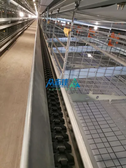 Layer Broiler Chicken Brooder Day Old Chick Battery Pullet Cage H/a Type Automatic Baby Multifunctional Provided Chicken Coop