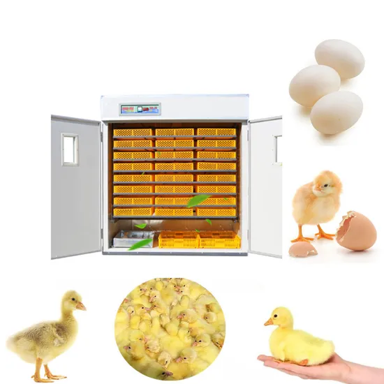 3 in 1 Full Automatic Solar Hatchery Chicken Egg Incubator Machine