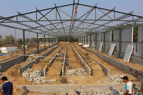 Closed Poultry House Design Plan for Africa Market