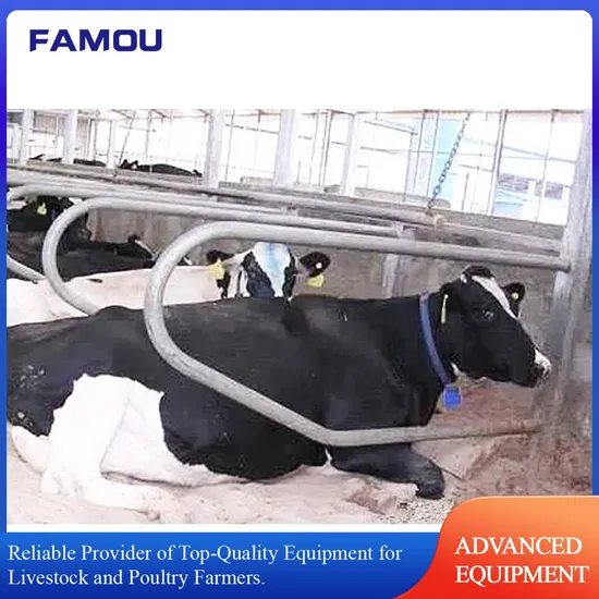 Livestock Machinery Cattle Barn Machine Cow Headlock Galvanized Steel Free Stall Equipment for Customizable Dairy Cow/Calf/Cattle House Supplies