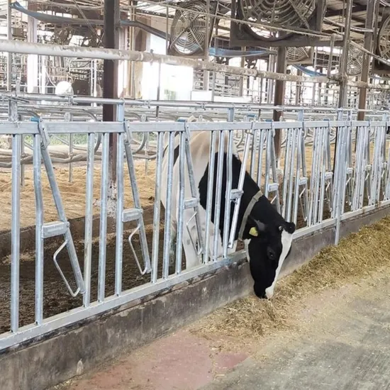 6 Meter Long of 7 Cow 9 Cow Head Lock Calf Headlock Livestock Equipment Cattle Neck Climp Manufacturer