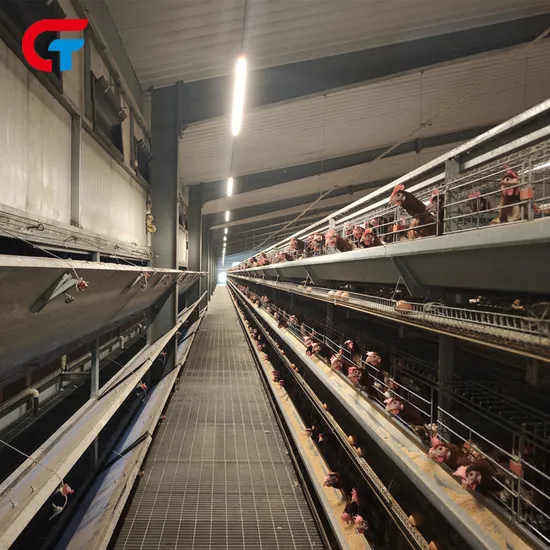 6 Tiers H Type Layer Poultry Farm Battery Chicken Cage