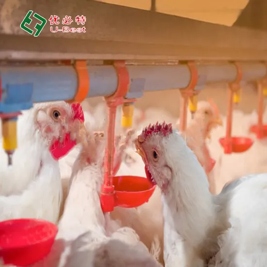Automatic Multi-Tier H Frame Battery Poultry Farm/Farming Equipment for Chicken Layer Hen Cage
