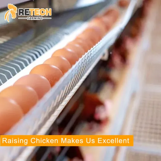H type battery chicken layer cage poultry farm equipment for sale