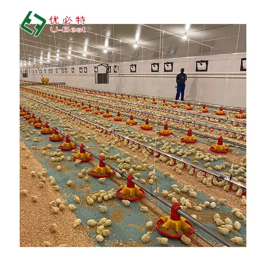 Cheap Price Broiler Floor Rearing Chicken Cage Poultry Farm Equipment for Sale